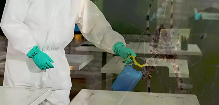 Why Buyers Still Want Homes With Pest Infestations in Fontana, CA?