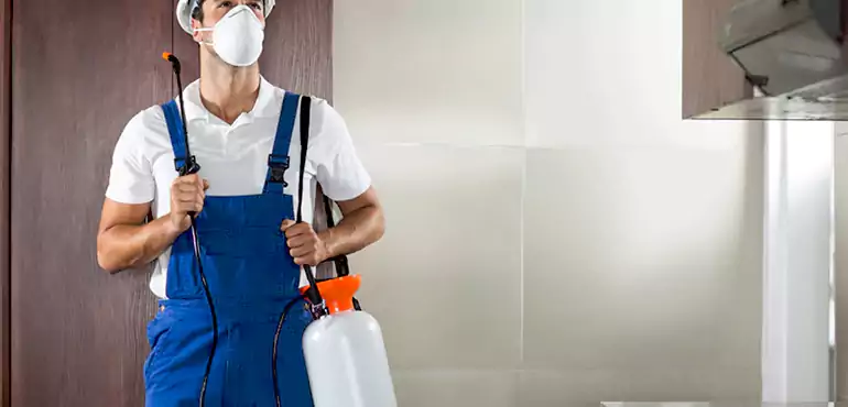 Why Fontana Homeowners Choose Us When Pests Make Selling Difficult